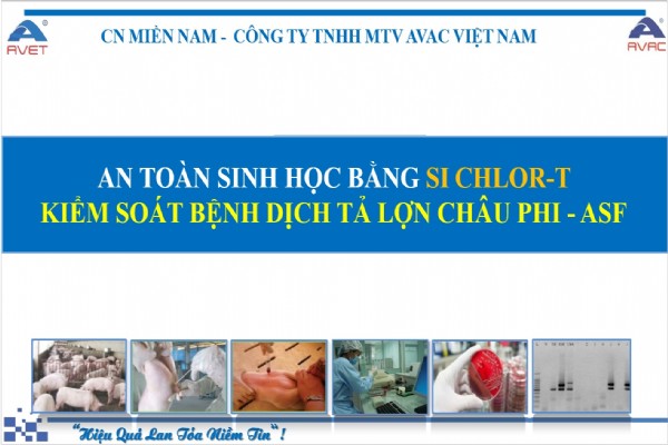 AN TOÀN SINH HỌC BẰNG SI CHLOR-T