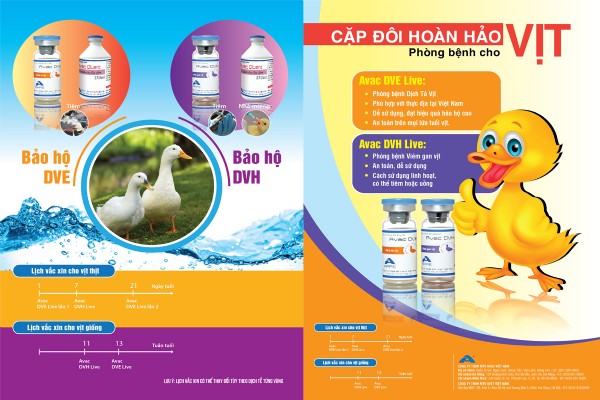 Cặp đôi phòng bệnh cho Vịt DVH - DVE