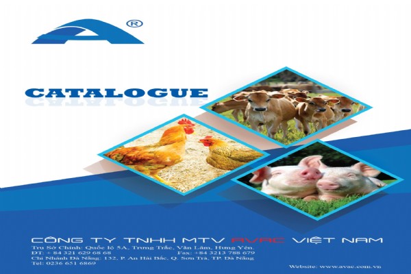 Catalogue sản phẩm